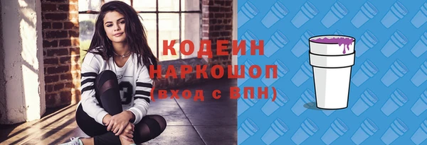 прущие крисы Ельня