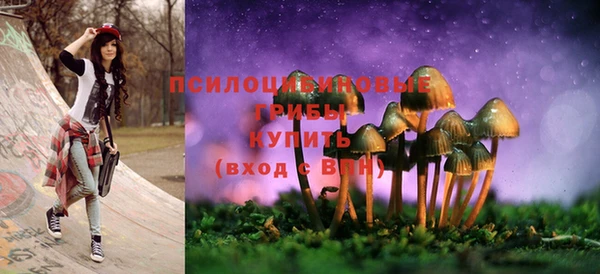 соль курить ск Заводоуковск