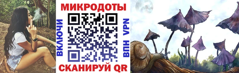 Купить где  Куровское  Псилоцибиновые грибы Magic Shrooms 